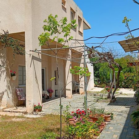 The Grapevine Guest House Paphos Exterior foto